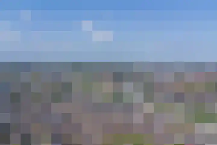 Schouw 7 Alphen aan den Rijn thumbnail 37