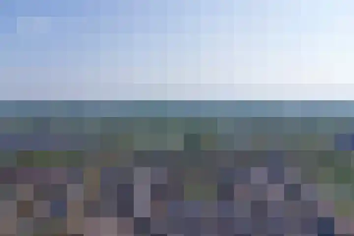 Schouw 7 Alphen aan den Rijn thumbnail 5