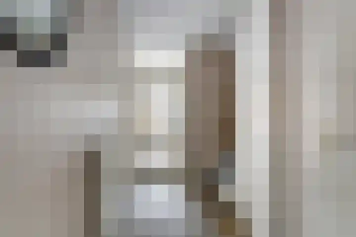 Schouw 7 Alphen aan den Rijn thumbnail 6