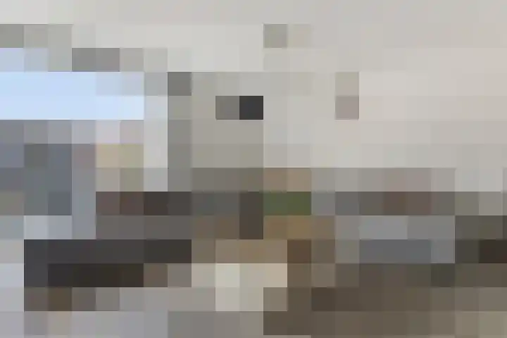 Schouw 7 Alphen aan den Rijn thumbnail 7