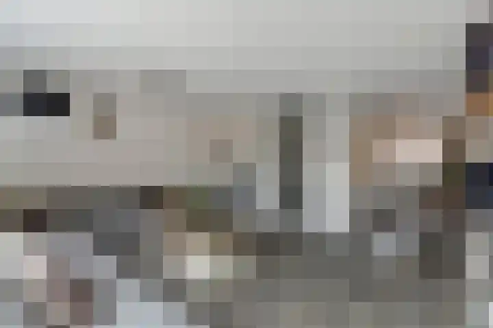 Schouw 7 Alphen aan den Rijn thumbnail 8