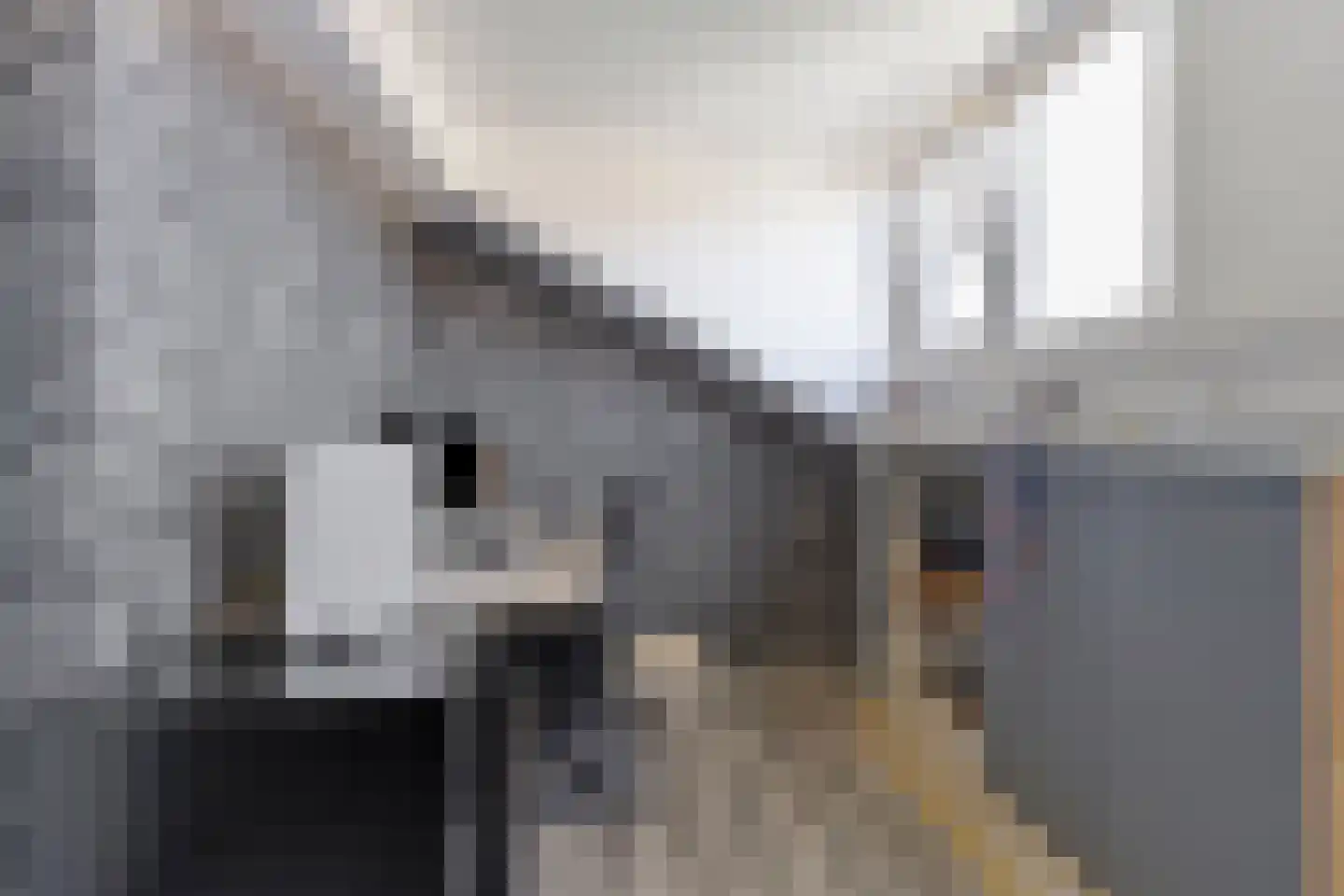 Schouw 7 Schiedam thumbnail 30