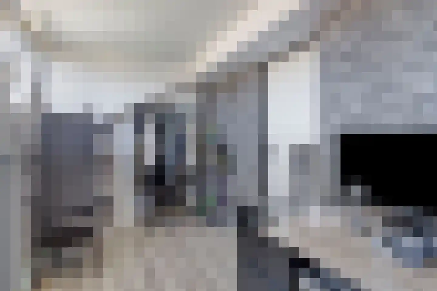 Schouw 7 Schiedam thumbnail 31