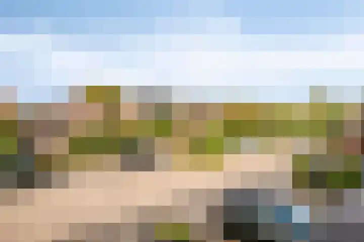 Schouw 7 Woerden thumbnail 23