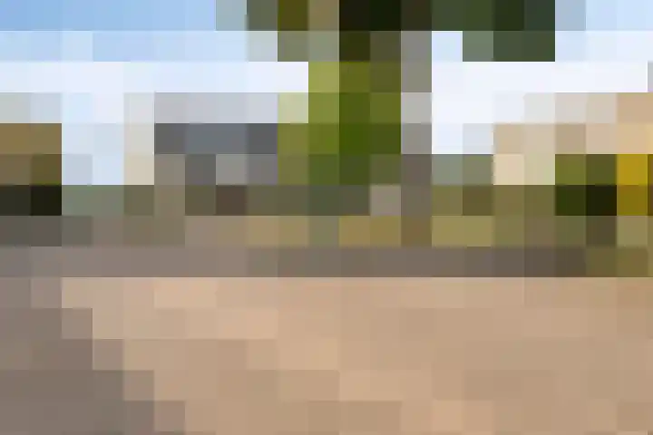 Schouw 7 Woerden thumbnail 24