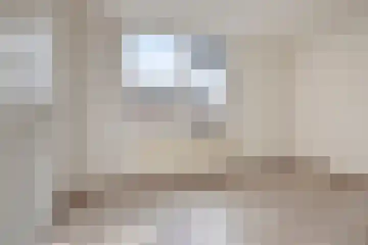 Schouw 7 Woerden thumbnail 8