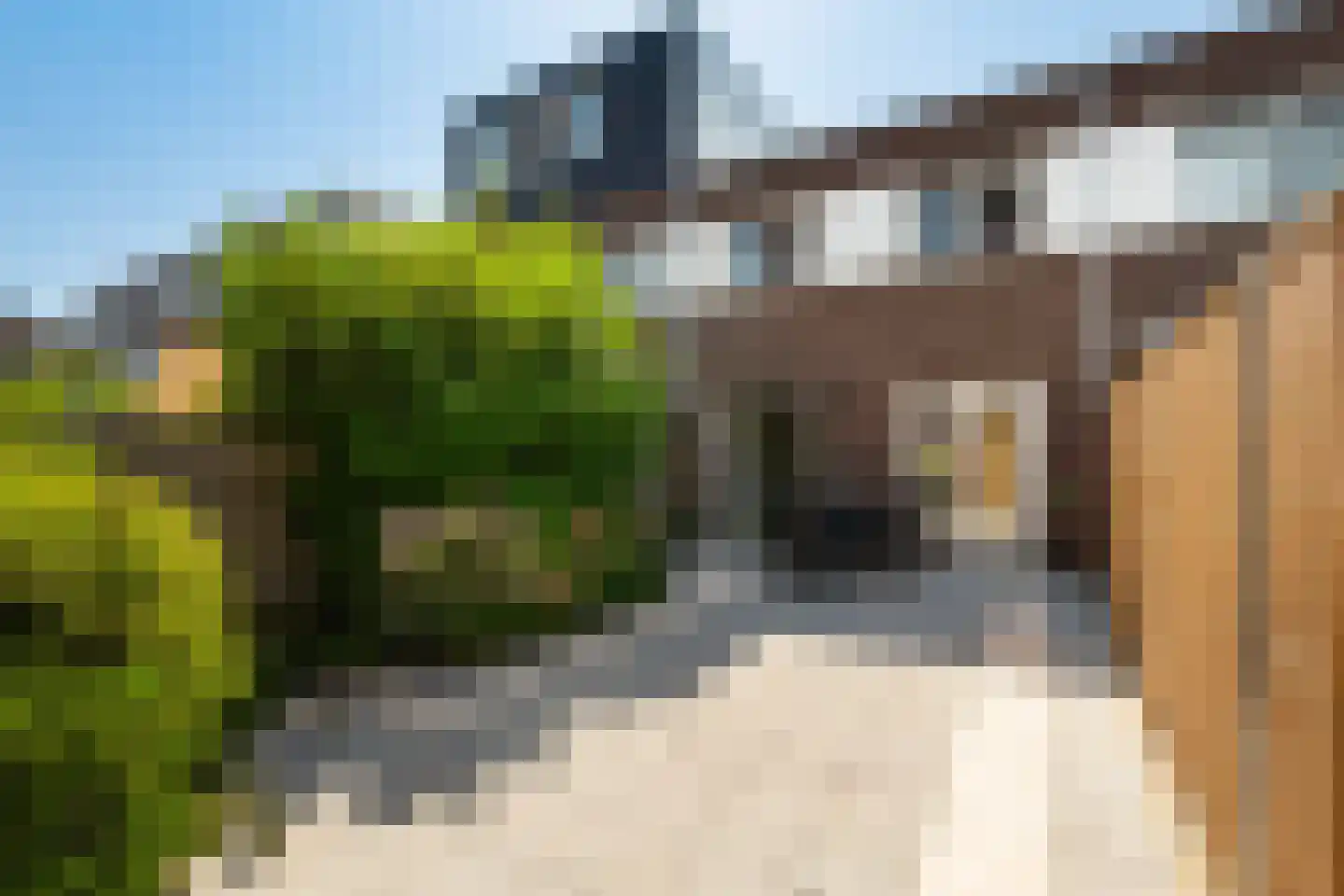 Schouw 75 Alphen aan den Rijn thumbnail 31