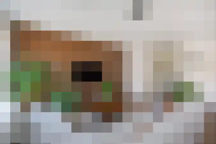 Schouw 87 Alphen aan den Rijn thumbnail 10