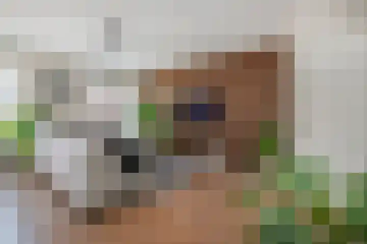 Schouw 87 Alphen aan den Rijn thumbnail 11