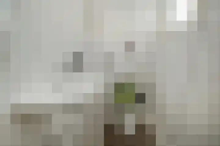 Schouw 87 Alphen aan den Rijn thumbnail 13