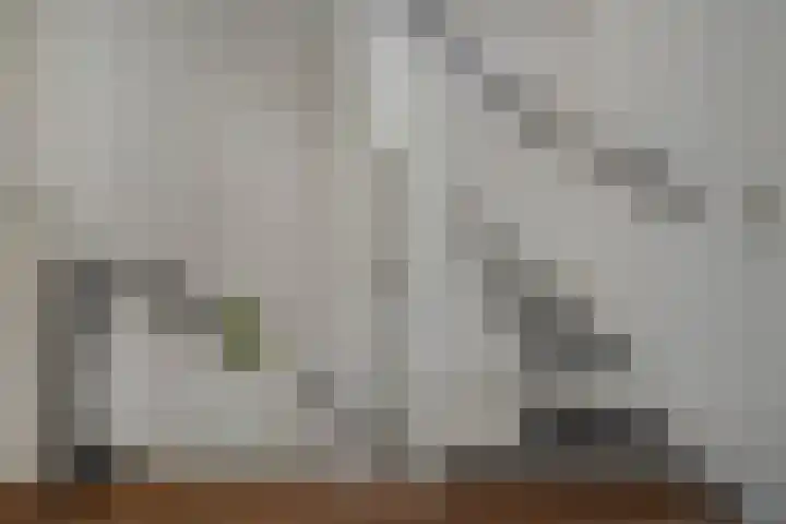 Schouw 87 Alphen aan den Rijn thumbnail 14