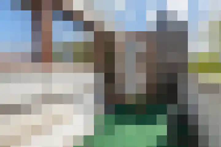 Schouw 87 Alphen aan den Rijn thumbnail 34