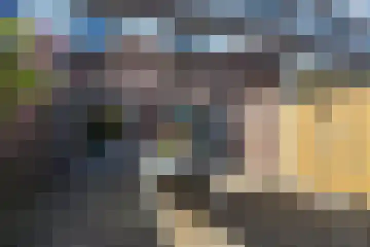 Schouw 87 Alphen aan den Rijn thumbnail 39
