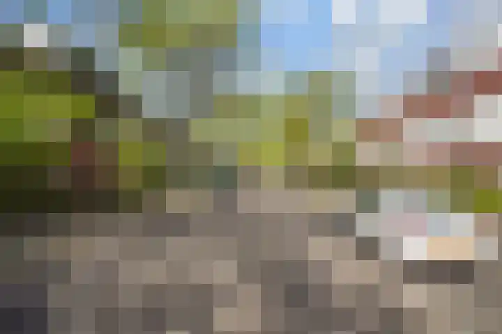 Schouw 87 Alphen aan den Rijn thumbnail 40