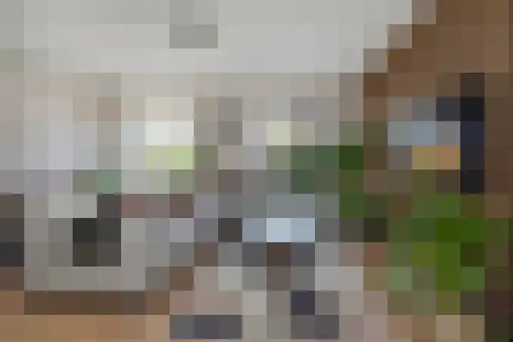 Schouw 87 Alphen aan den Rijn thumbnail 5