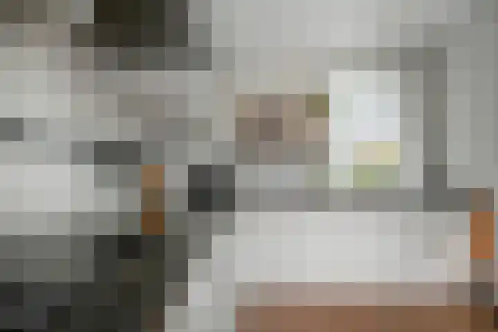 Schouw 87 Alphen aan den Rijn thumbnail 8