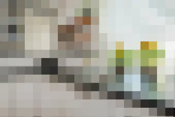 Schouw 87 Alphen aan den Rijn thumbnail 9