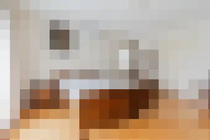 Schouwberg 2 Hapert thumbnail 22