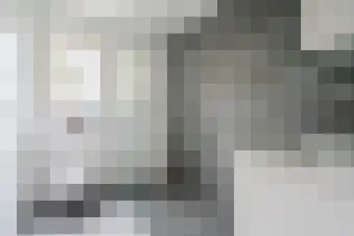 Schouwberg 2 Hapert thumbnail 24