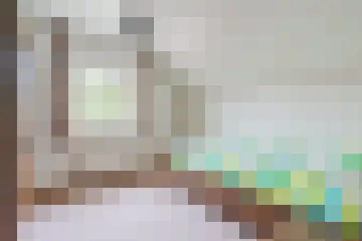 Schouwberg 2 Hapert thumbnail 31