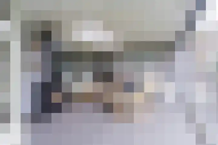 Schouwberg 2 Hapert thumbnail 43