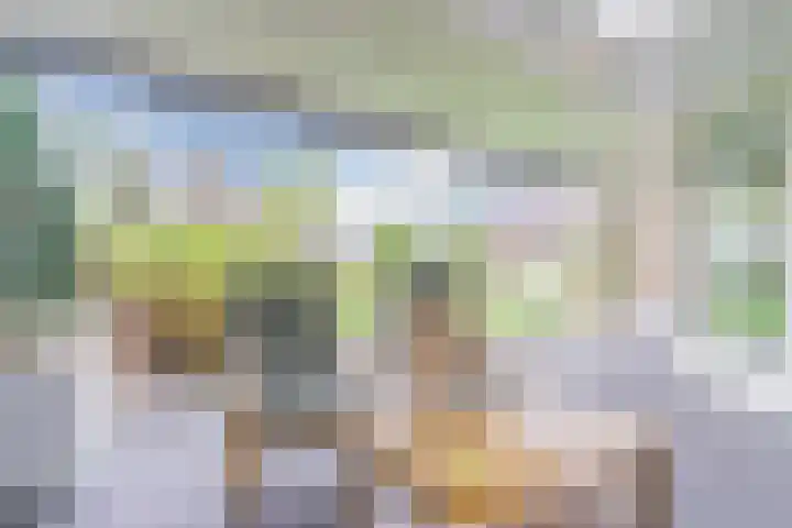 Schouwberg 2 Hapert thumbnail 44
