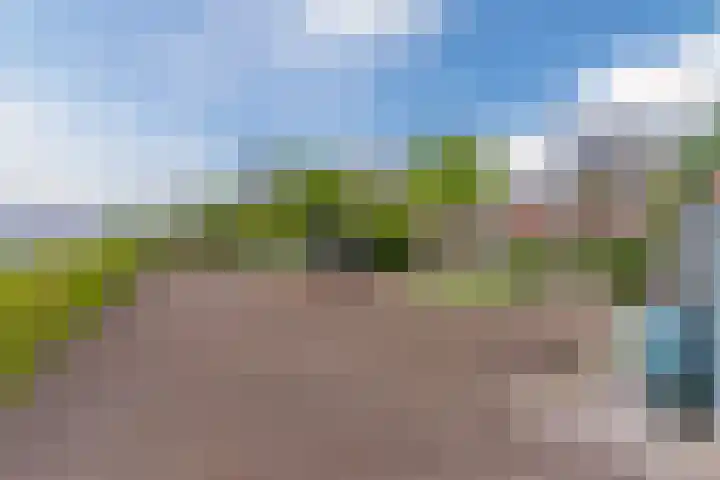 Schouwberg 2 Hapert thumbnail 47