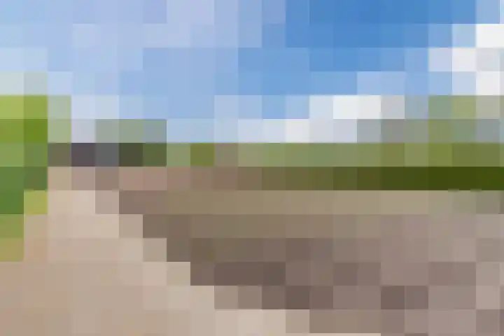 Schouwberg 2 Hapert thumbnail 50