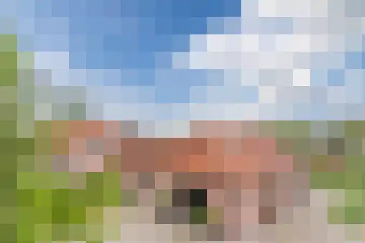 Schouwberg 2 Hapert thumbnail 54