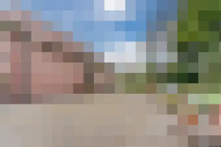 Schouwberg 2 Hapert thumbnail 57