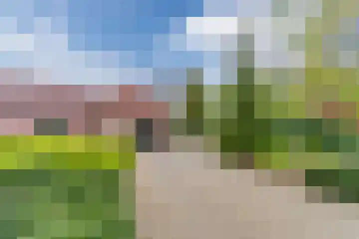Schouwberg 2 Hapert thumbnail 58