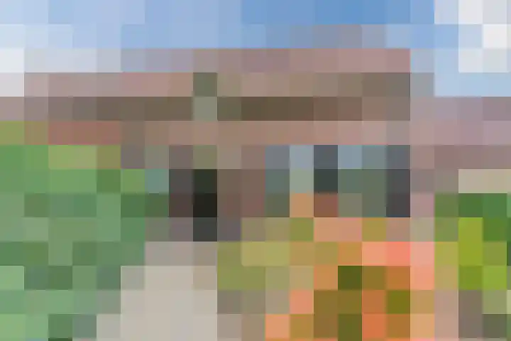 Schouwberg 2 Hapert thumbnail 6