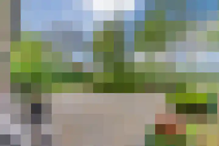 Schouwberg 2 Hapert thumbnail 7