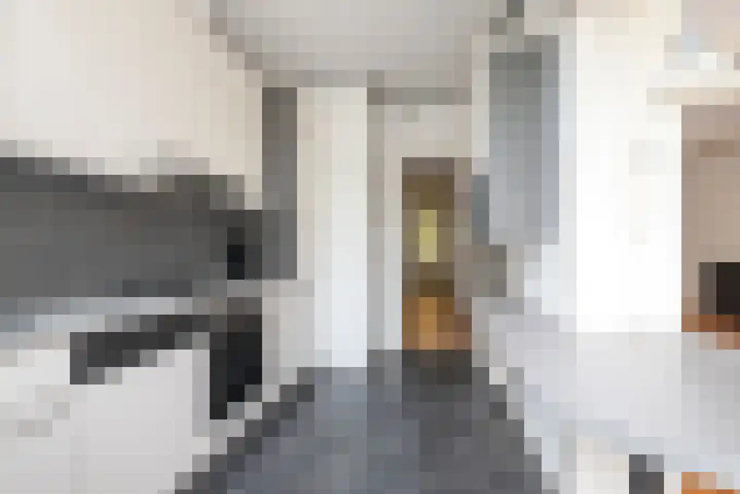 Schouwbroekerstraat 12 Heemstede thumbnail 12