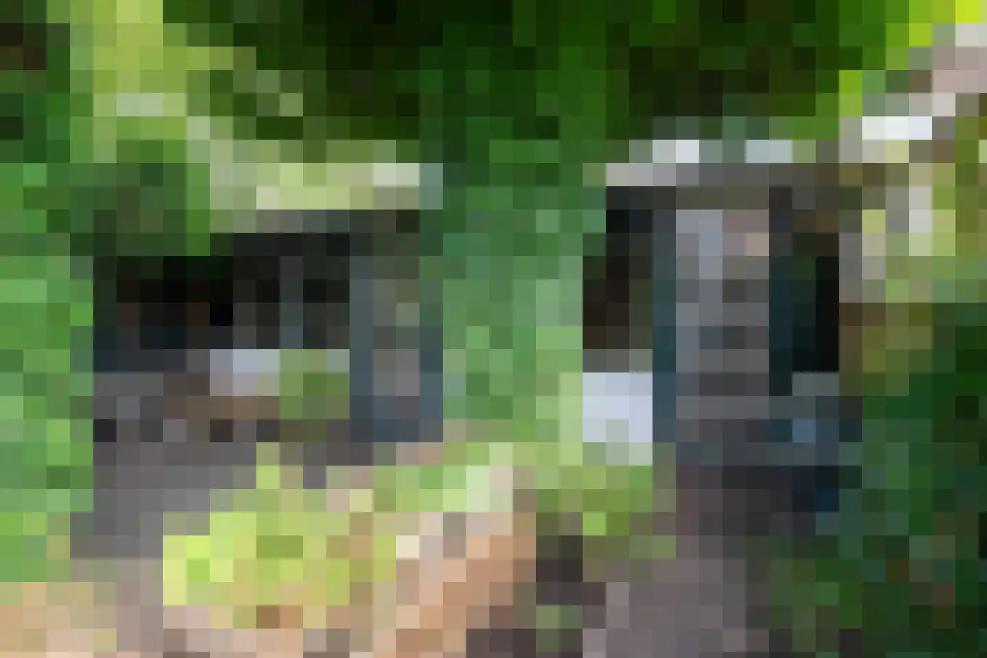 Schouwbroekerstraat 12 Heemstede thumbnail 36