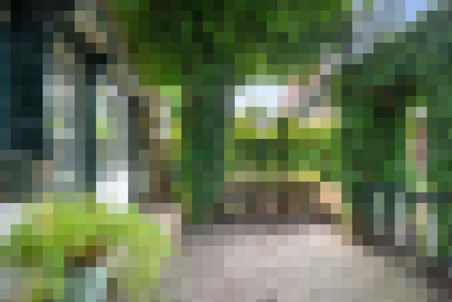 Schouwbroekerstraat 12 Heemstede thumbnail 37