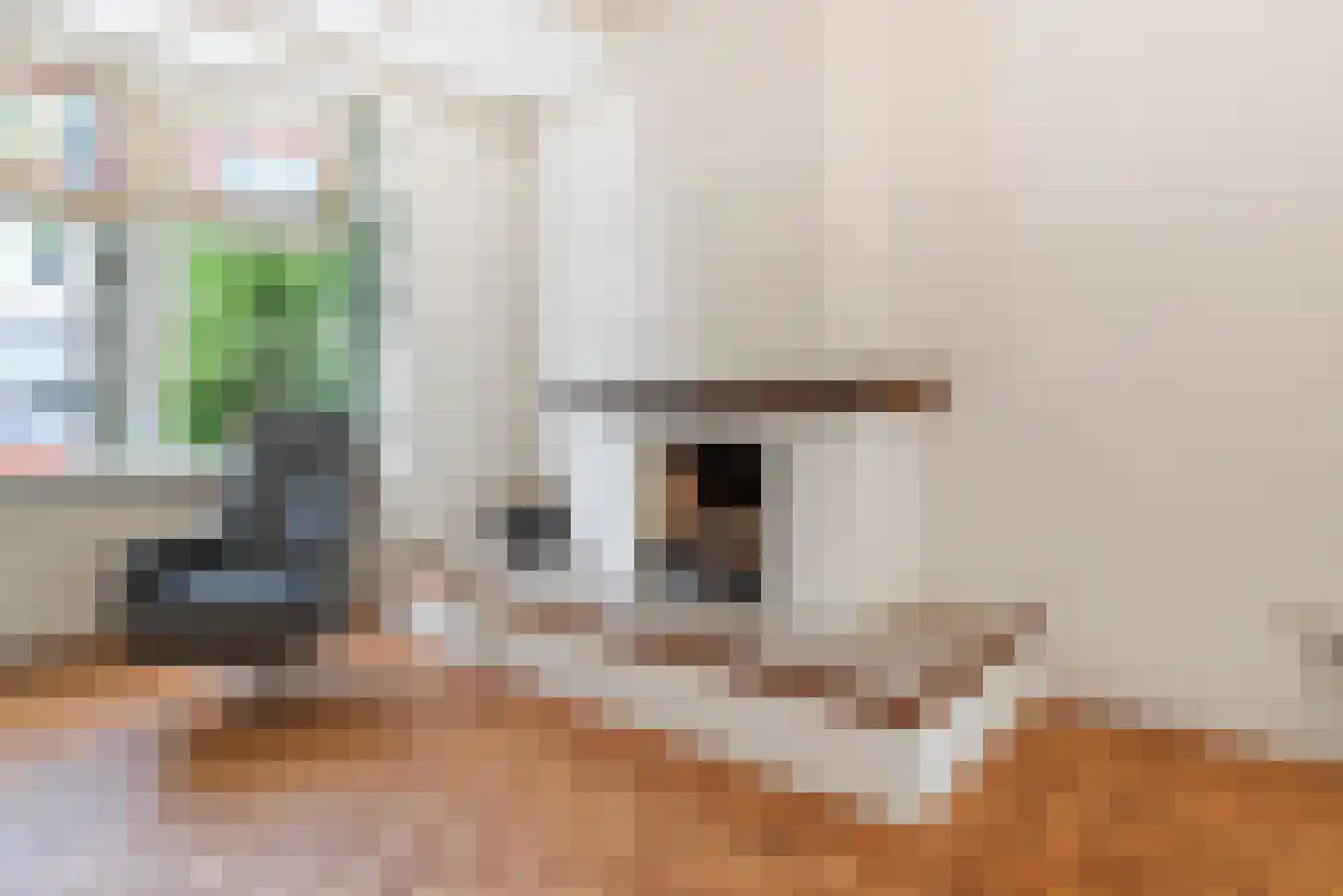 Schouwbroekerstraat 12 Heemstede thumbnail 5