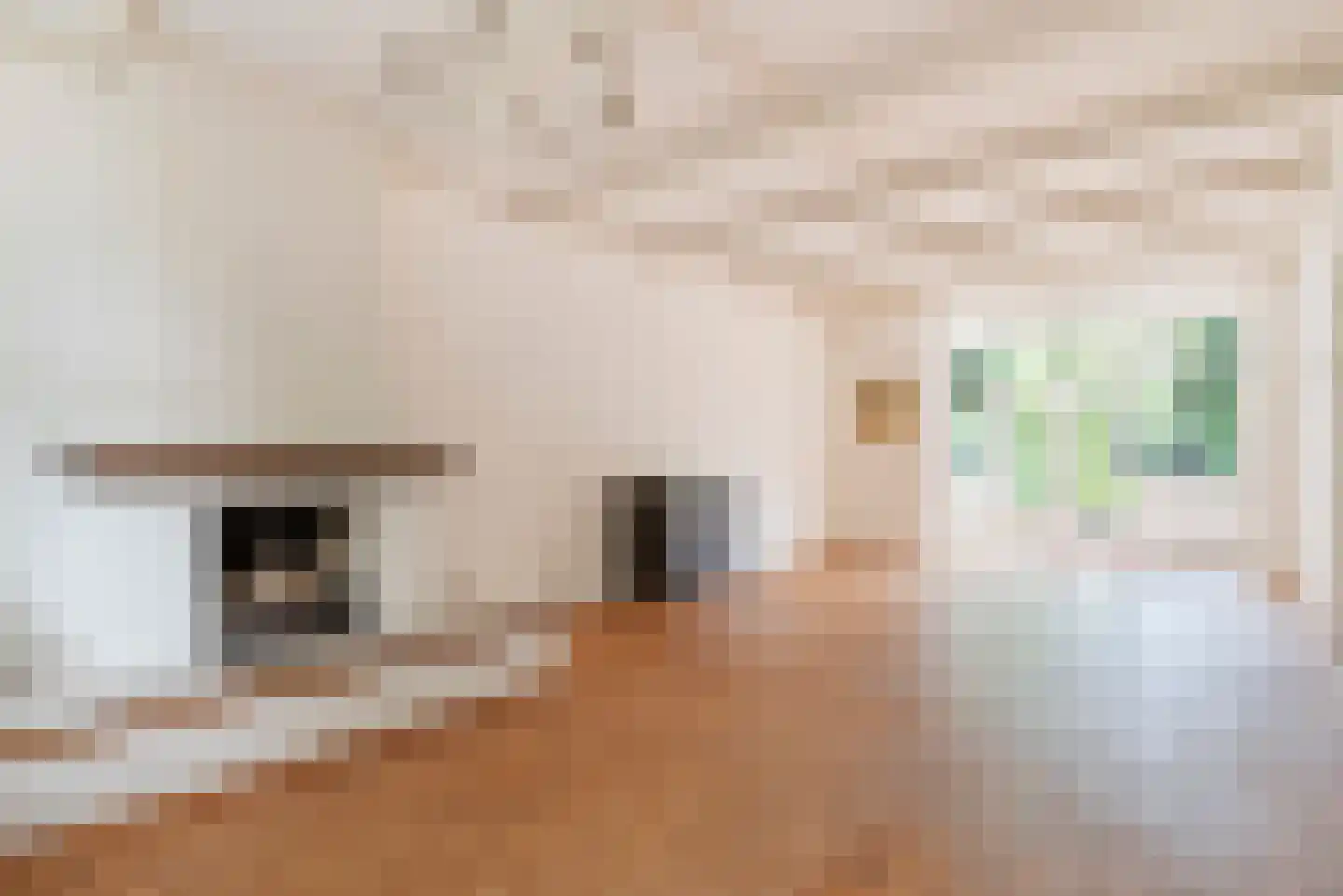 Schouwbroekerstraat 12 Heemstede thumbnail 7