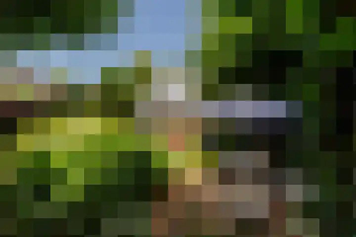 Schouwbroekerstraat 4 Heemstede thumbnail 30