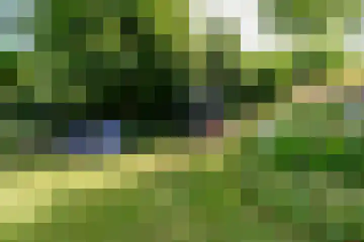 Schouwbroekerstraat 4 Heemstede thumbnail 31