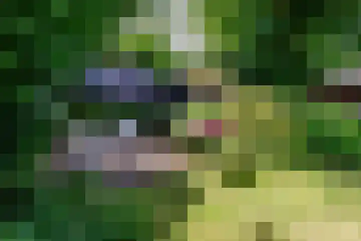 Schouwbroekerstraat 4 Heemstede thumbnail 32