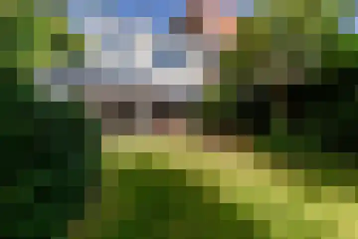 Schouwbroekerstraat 4 Heemstede thumbnail 34