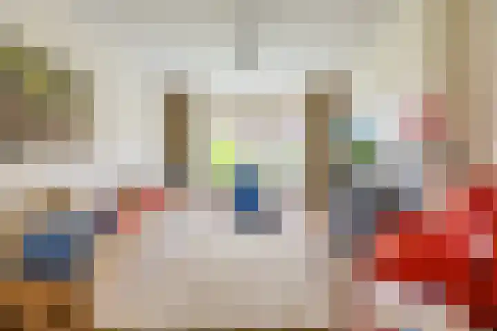 Schouwbroekerstraat 4 Heemstede thumbnail 6