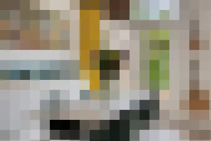 Schouwbroekseweg 26 A Eindhoven thumbnail 17