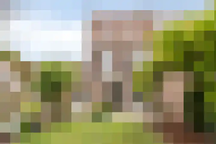 Schouwbroekseweg 26 A Eindhoven thumbnail 6