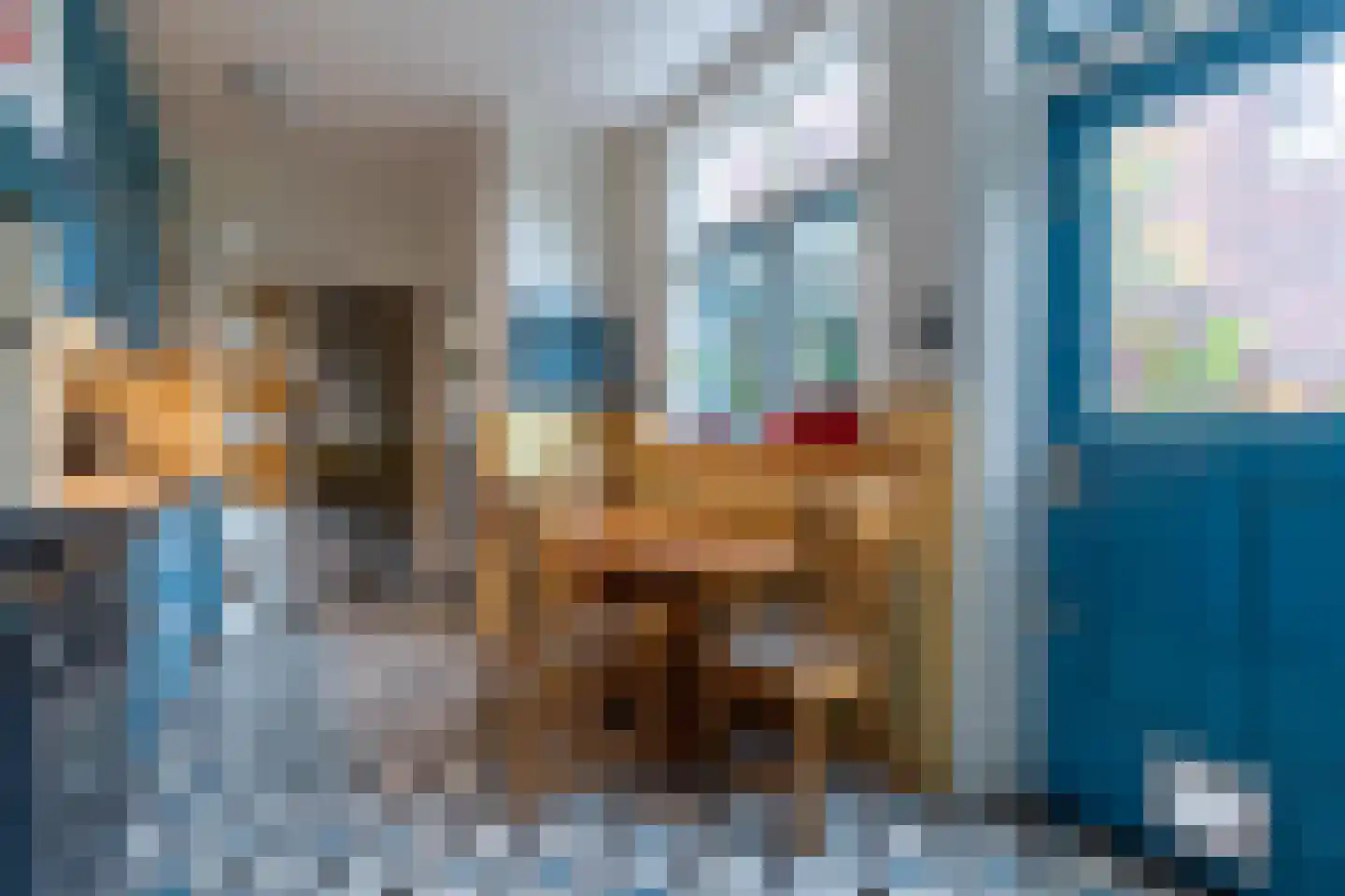 Schouwbroekseweg 41 Eindhoven thumbnail 18