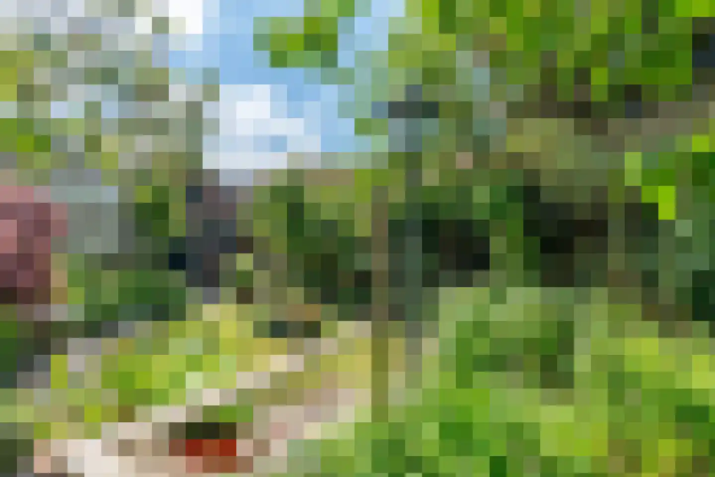 Schouwbroekseweg 41 Eindhoven thumbnail 47