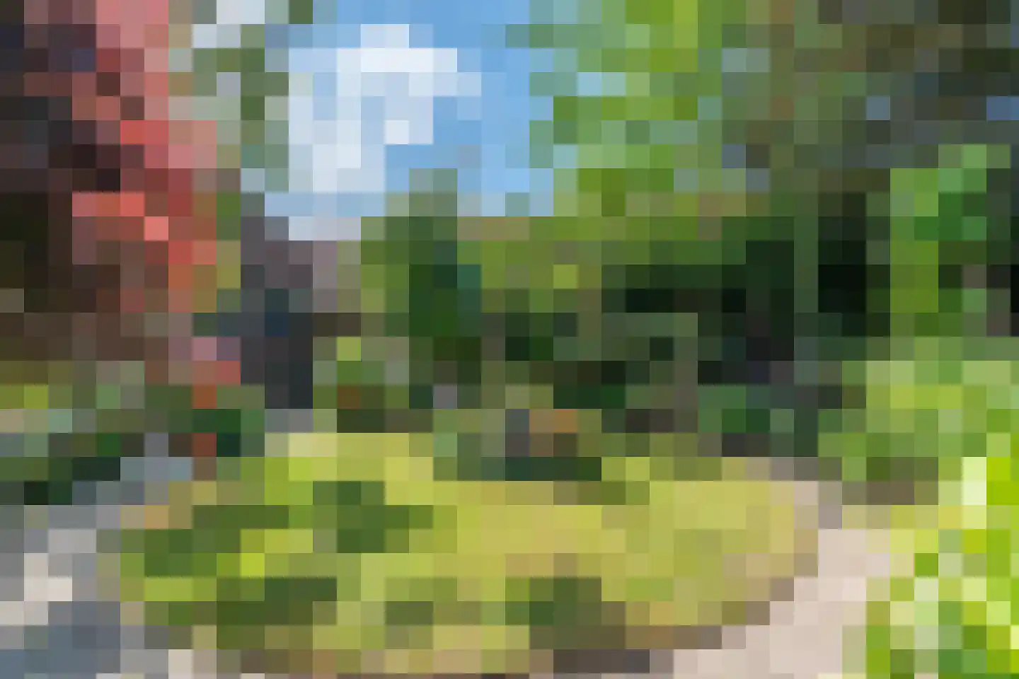 Schouwbroekseweg 41 Eindhoven thumbnail 5