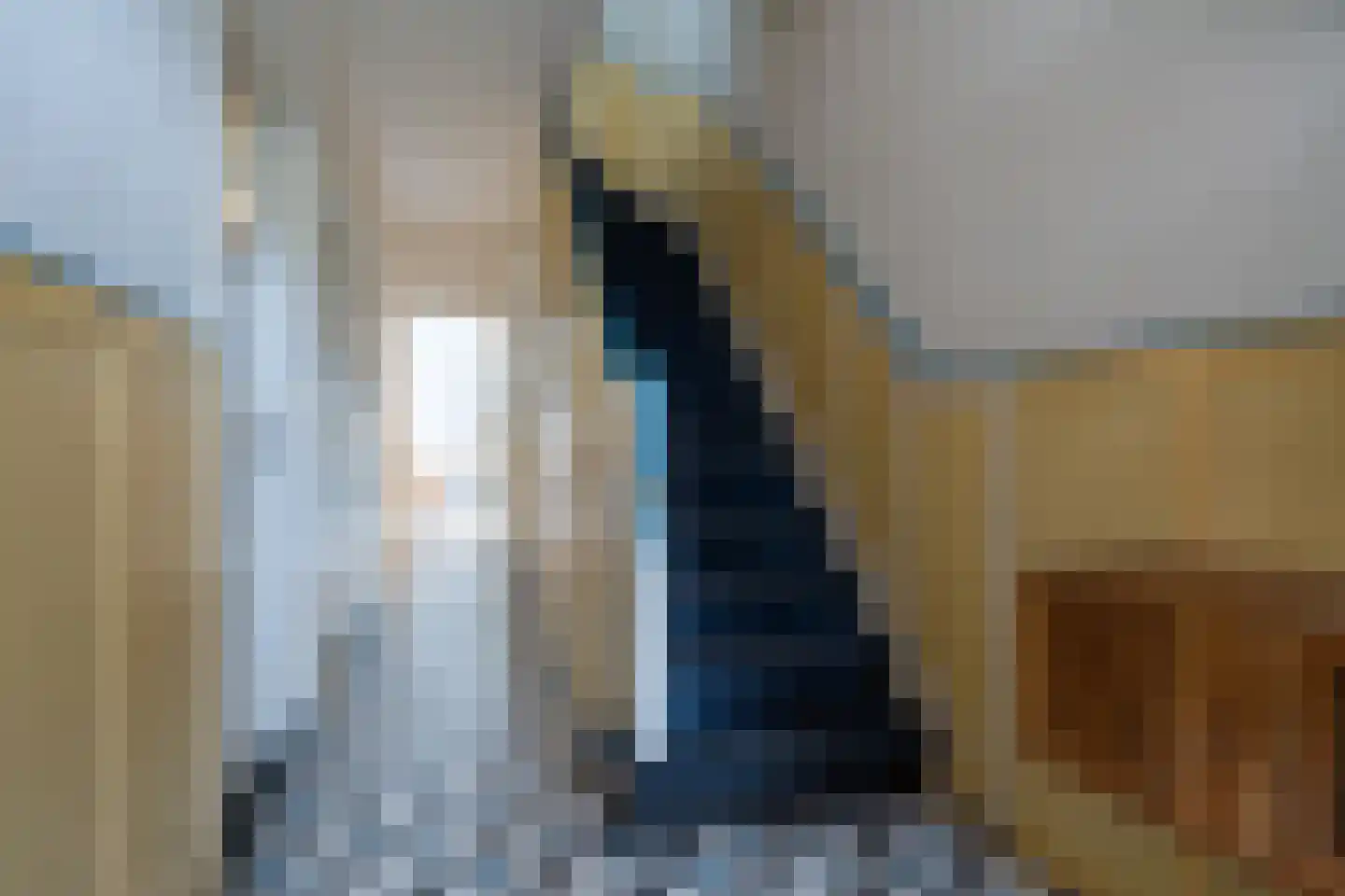 Schouwbroekseweg 41 Eindhoven thumbnail 8