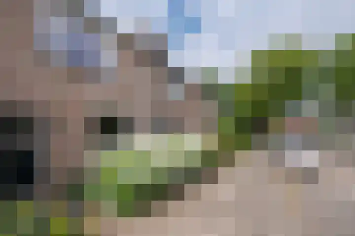 Schouwbroekseweg 45 Eindhoven thumbnail 10